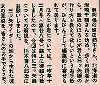「三ツ矢嬢の夏仕度」(*部分)『ほろにが通信』第46号(拡大)画像